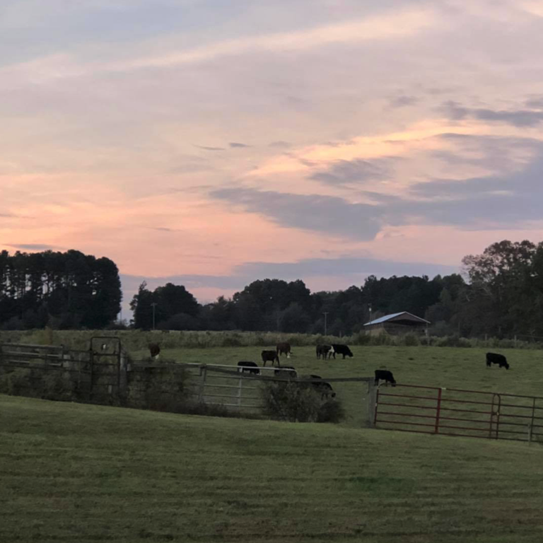 Cole Family Farms